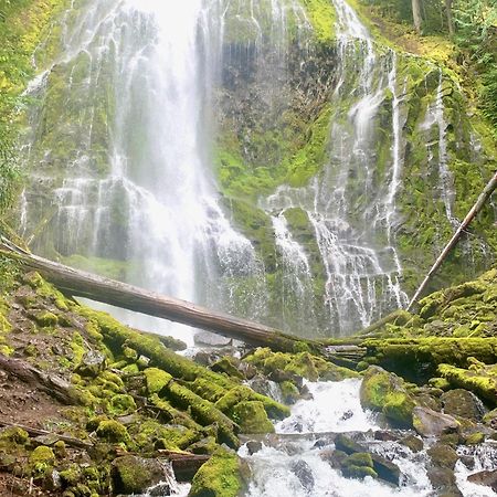 Mckenzie River Mountain Resort Blue River Dış mekan fotoğraf