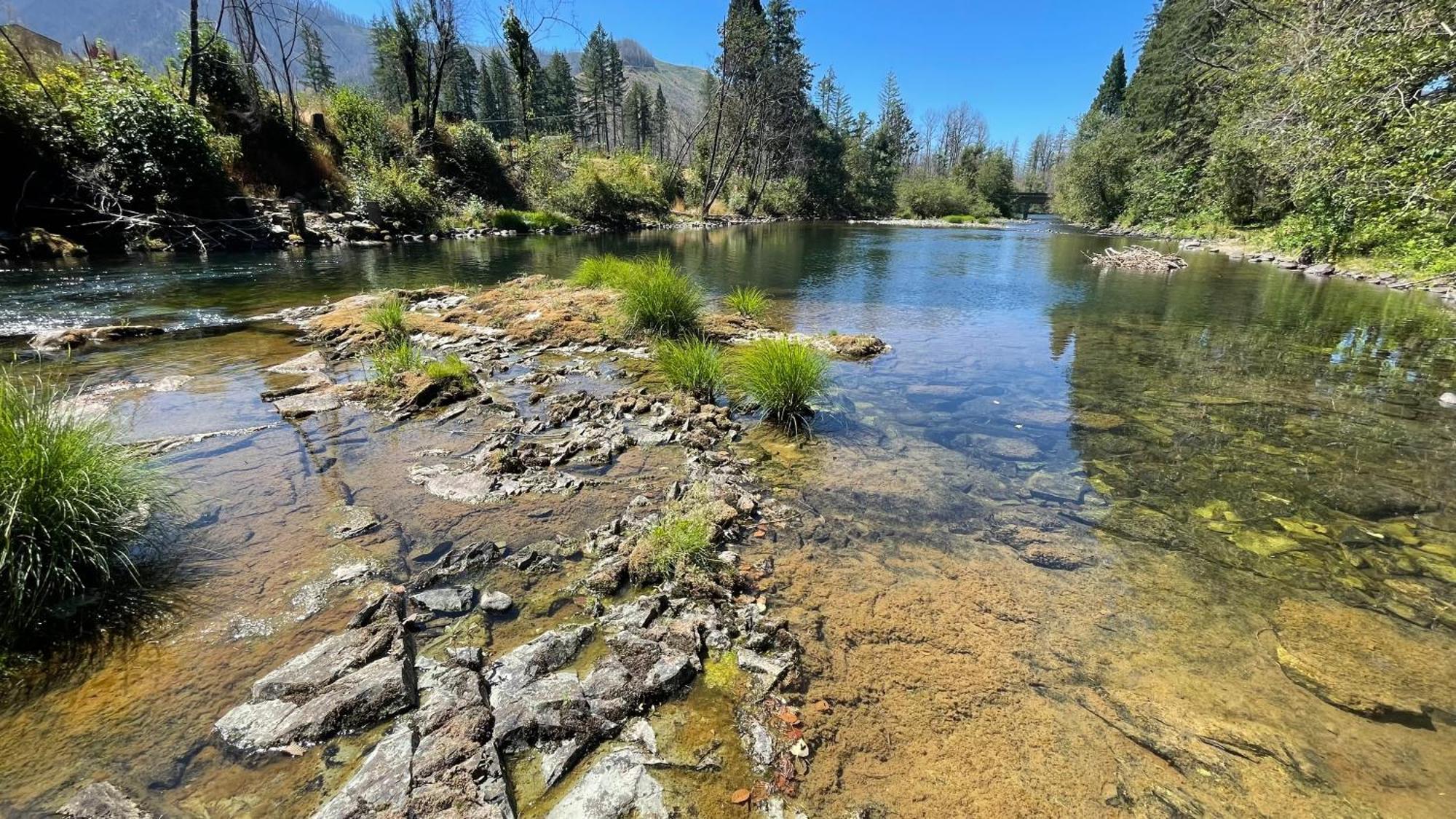 Mckenzie River Mountain Resort Blue River Dış mekan fotoğraf