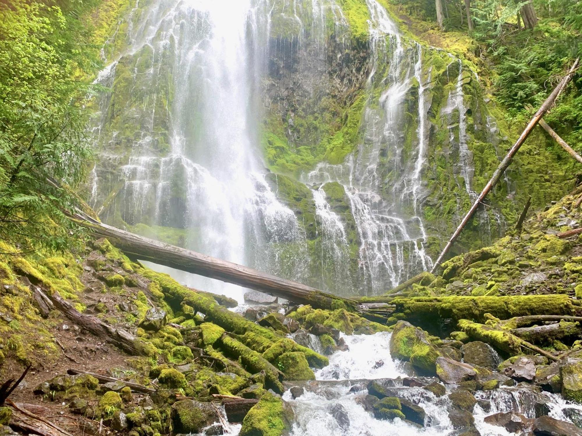 Mckenzie River Mountain Resort Blue River Dış mekan fotoğraf