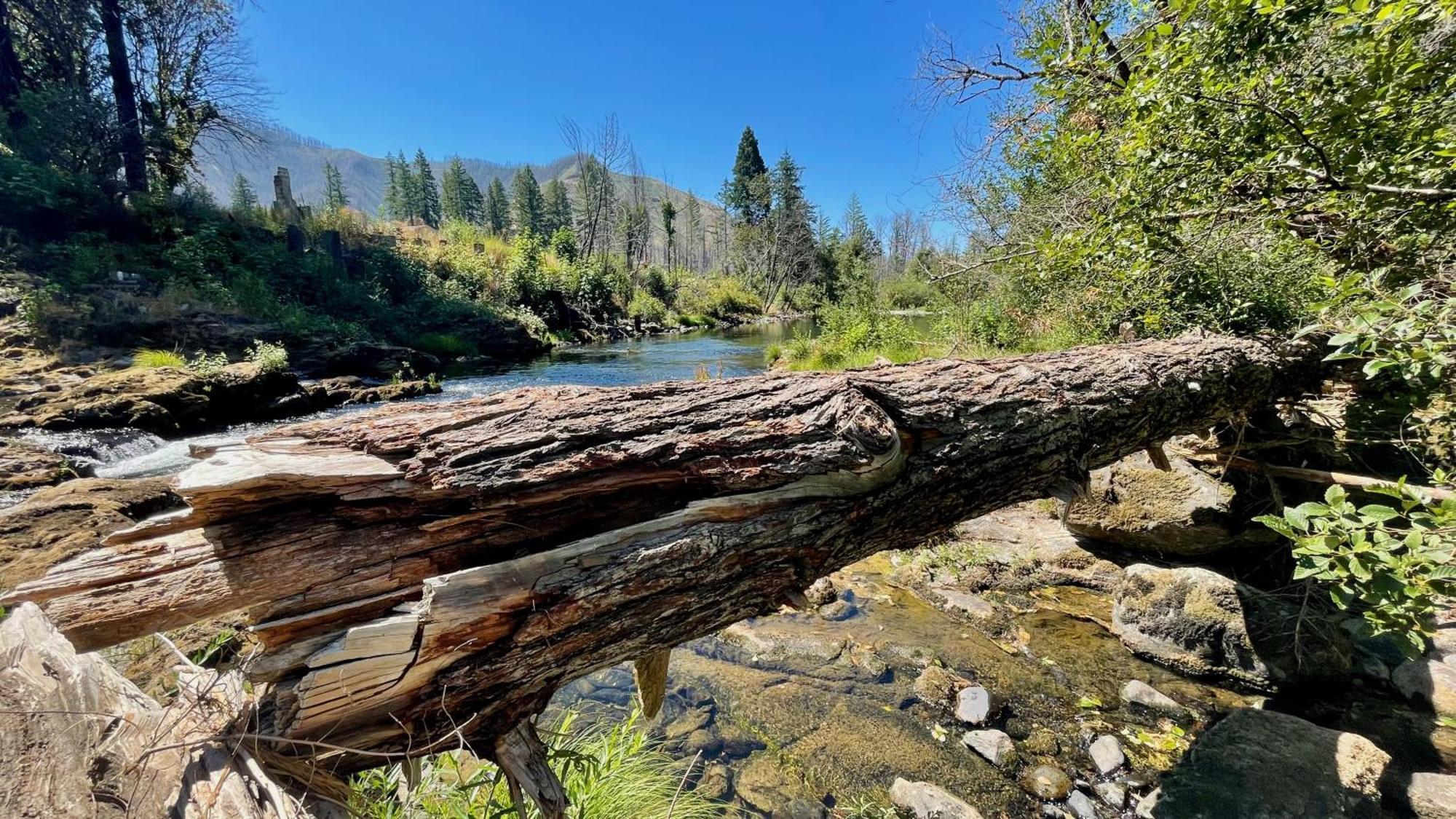 Mckenzie River Mountain Resort Blue River Dış mekan fotoğraf