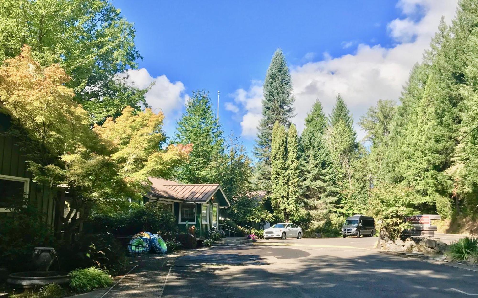 Mckenzie River Mountain Resort Blue River Dış mekan fotoğraf